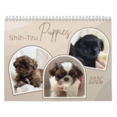 Shih-Tzu Puppies Photo Collage Calendar Kalender (Hoes)