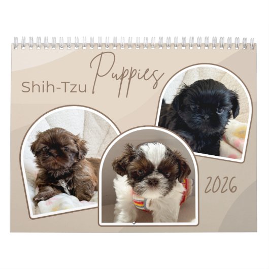 Shih-Tzu Puppies Photo Collage Calendar Kalender (Hoes)