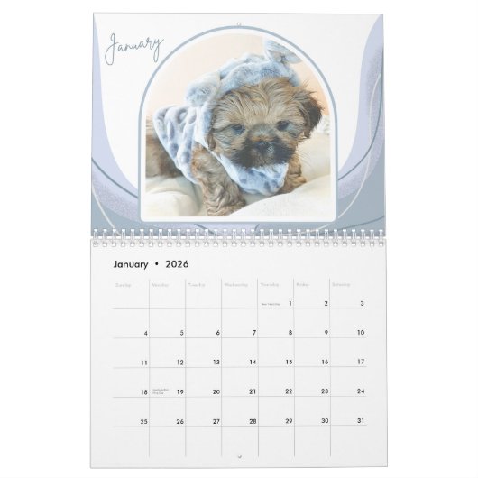 Shih-Tzu Puppies Photo Collage Calendar Kalender (Jan 2026)
