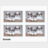 Shih Tzu puppies Rechthoekige Sticker (Vel)