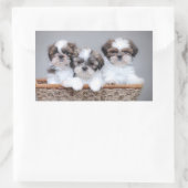 Shih Tzu puppies Rechthoekige Sticker (Tas)