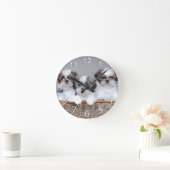 Shih Tzu puppies Ronde Klok (Huis)