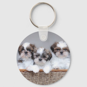 Shih Tzu puppies Sleutelhanger
