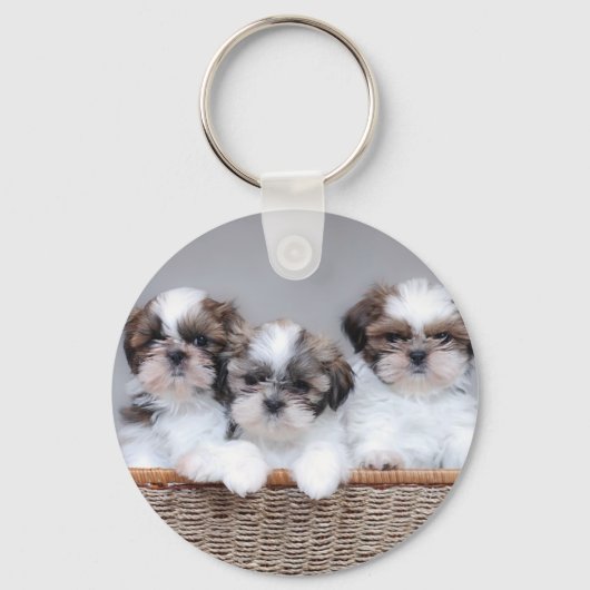 Shih Tzu puppies Sleutelhanger (Voorkant)