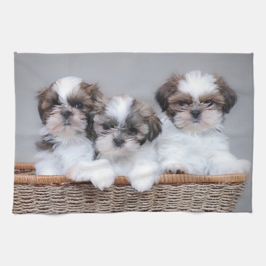 Shih Tzu puppies Theedoek (Horizontaal)