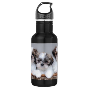 Shih Tzu puppies Waterfles