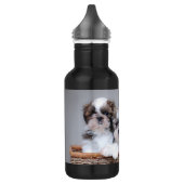 Shih Tzu puppies Waterfles (Links)