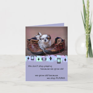Shih Tzu Puppy Birthday Greetings Kaart