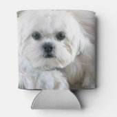 Shih Tzu Puppy Blikjeskoeler (Achterkant)