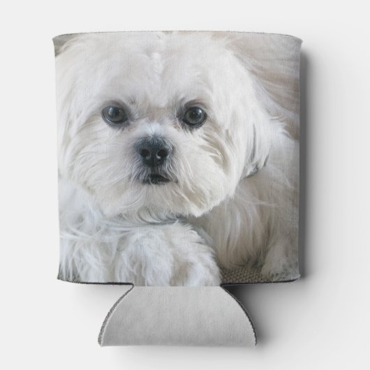 Shih Tzu Puppy Blikjeskoeler (Achterkant)