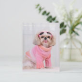 Shih Tzu Puppy - De Razz Briefkaart (Staand voorkant)