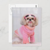 Shih Tzu Puppy - De Razz Briefkaart (Voorkant / Achterkant)