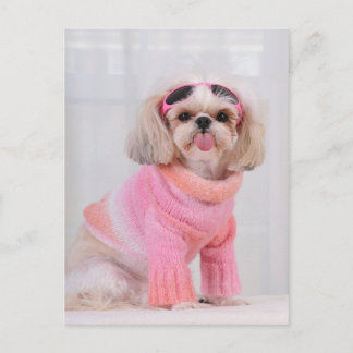 Shih Tzu Puppy - De Razz Briefkaart