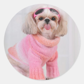 Shih Tzu Puppy - De Razz Ronde Sticker