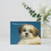 Shih Tzu Puppy "Denking of you" Briefkaart (Staand voorkant)