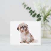 Shih Tzu Puppy Dog Briefkaart (Staand voorkant)