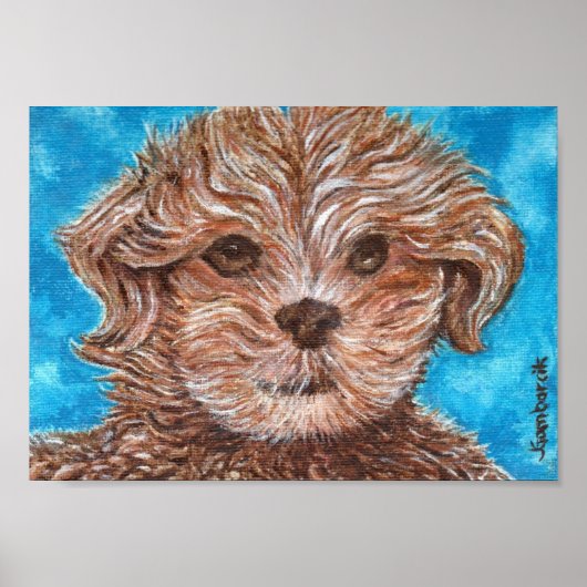 Shih Tzu Puppy Dog Print (Voorkant)