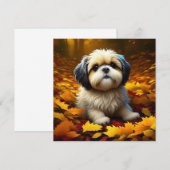 Shih Tzu Puppy Dog Spelen In Herfst Bladeren (Voorkant / Achterkant)