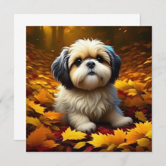 Shih Tzu Puppy Dog Spelen In Herfst Bladeren (Voorkant / Achterkant)