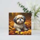 Shih Tzu Puppy Dog Spelen In Herfst Bladeren (Staand voorkant)