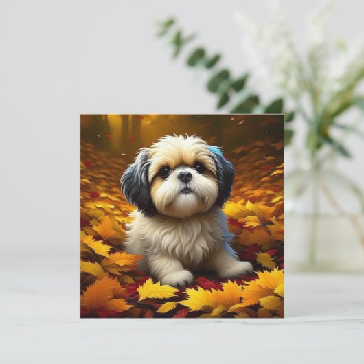 Shih Tzu Puppy Dog Spelen In Herfst Bladeren (Staand voorkant)