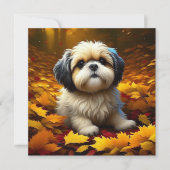 Shih Tzu Puppy Dog Spelen In Herfst Bladeren (Voorkant)
