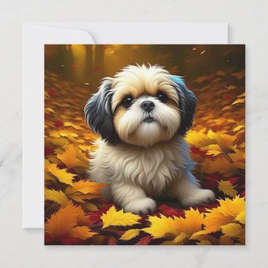 Shih Tzu Puppy Dog Spelen In Herfst Bladeren (Voorkant)
