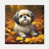 Shih Tzu Puppy Dog Spelen In Herfst Bladeren Magneet (Voorkant)