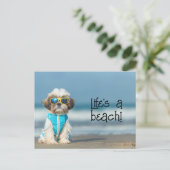 Shih Tzu Puppy dragen zonnebril Briefkaart (Staand voorkant)