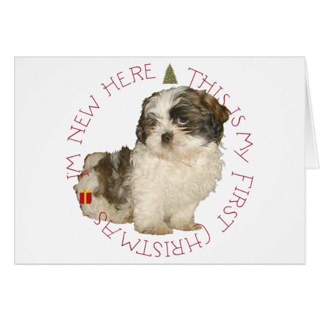 Shih Tzu Puppy Eerste Kerstmis (Voorkant Horizontaal)
