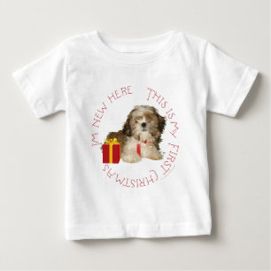 Shih Tzu Puppy Eerste Kerstmis