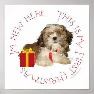 Shih Tzu Puppy Eerste Kerstmis Poster
