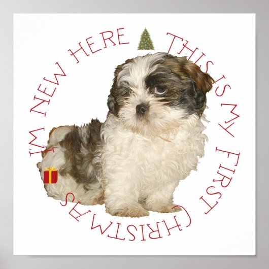 Shih Tzu Puppy Eerste Kerstmis Poster (Voorkant)