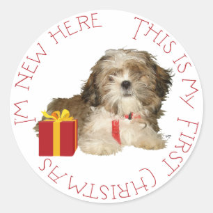 Shih Tzu Puppy Eerste Kerstmis Ronde Sticker