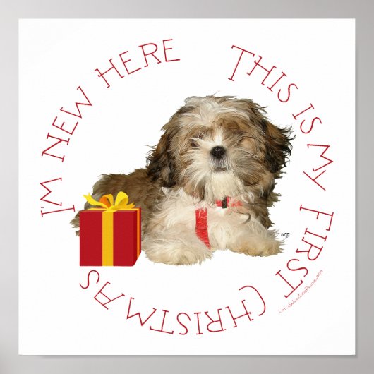 Shih Tzu Puppy First Kerstmis Poster (Voorkant)