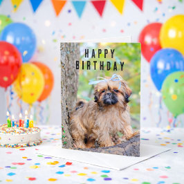 Shih Tzu Puppy Happy Birthday Card Cute Dog Kaart