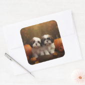 Shih Tzu Puppy Herfst Delight Pompoen Vierkante Sticker (Envelop)