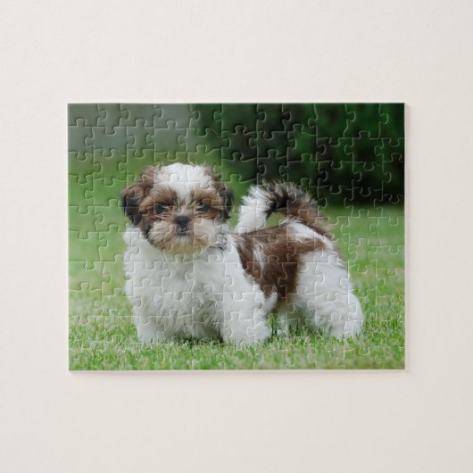 Shih tzu puppy legpuzzel (Horizontaal)
