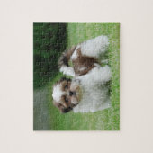 Shih tzu puppy legpuzzel (Verticaal)