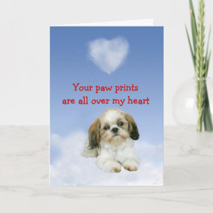 Shih Tzu Puppy Love Kaart