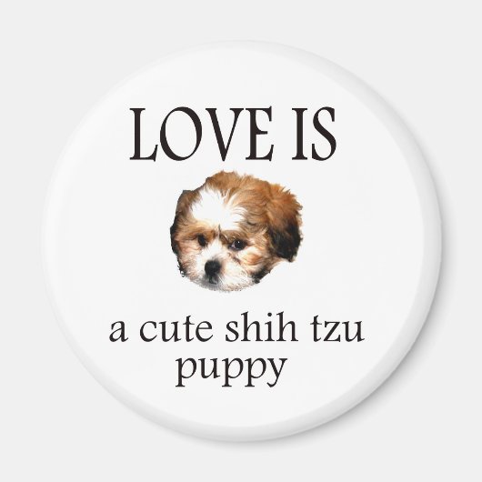 Shih Tzu Puppy Magneet (Voorkant)
