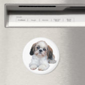 Shih Tzu Puppy Magnet (Insitu (Vaatwasser))