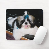 Shih-Tzu Puppy Mousepad Muismat (Met muis)
