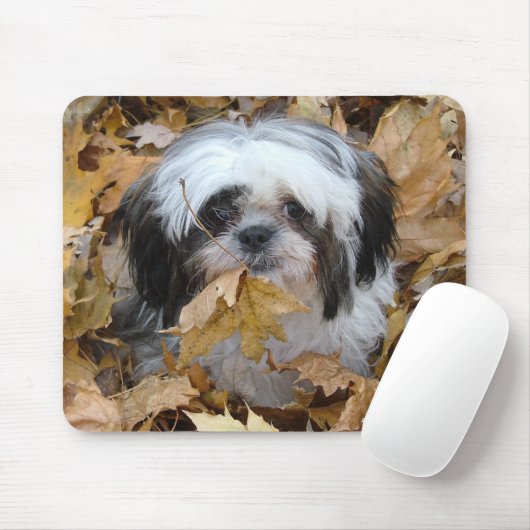 shih-tzu puppy muismat (Met muis)