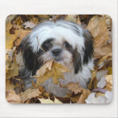 shih-tzu puppy muismat (Voorkant)