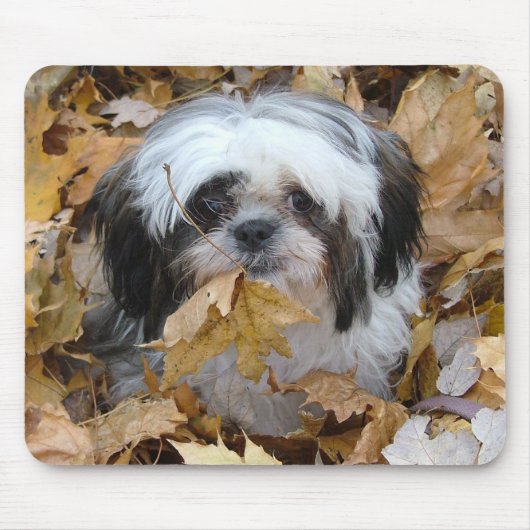 shih-tzu puppy muismat (Voorkant)