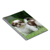 Shih tzu puppy notitieboek (Rechterzijde)