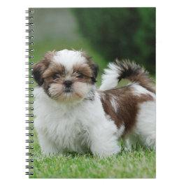 Shih tzu puppy notitieboek