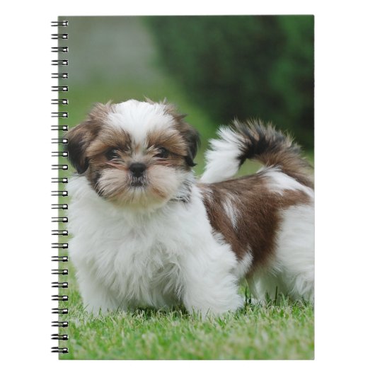 Shih tzu puppy notitieboek (Voorkant)