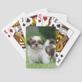 Shih tzu puppy pokerkaarten (Achterkant)